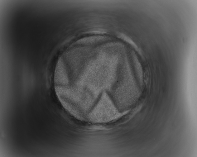 X0000087561448200705181116