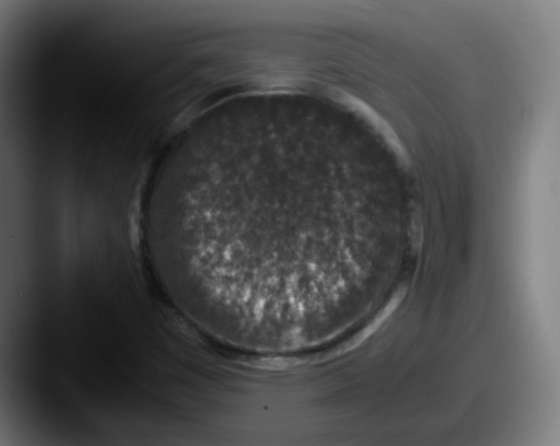 X0000087561449200705181116