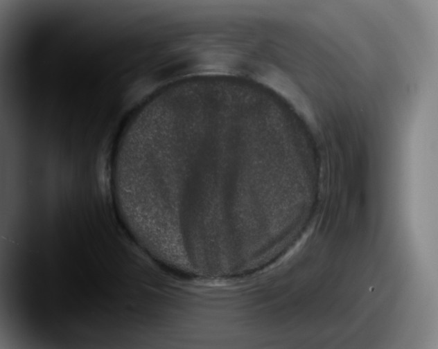 X0000087561450200705181116