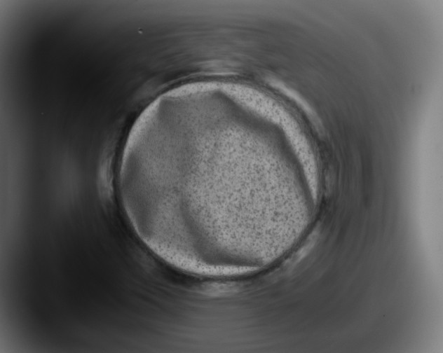 X0000087561451200705181116