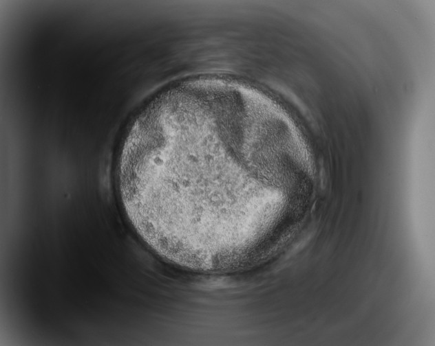 X0000087561452200705181116
