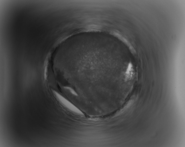 X0000087561453200705181116