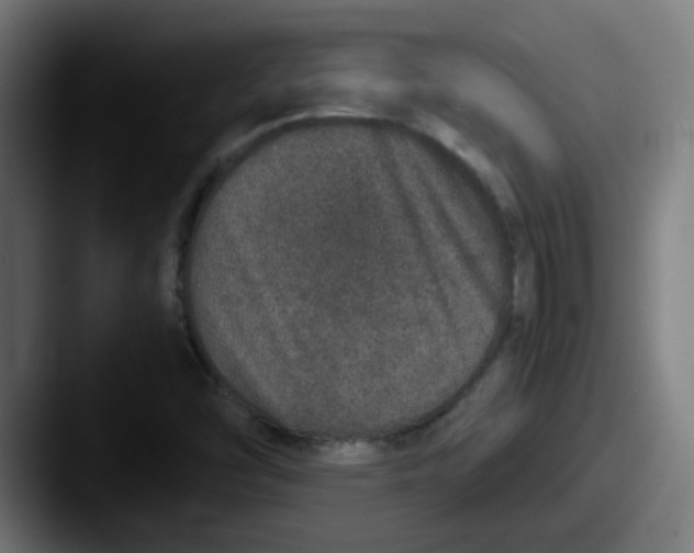 X0000087561454200705181116