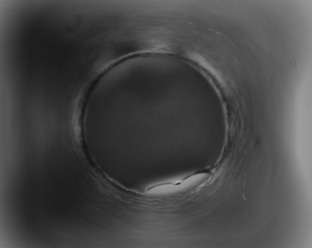 X0000087561455200705181116