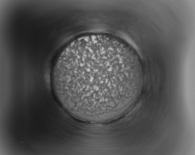 X0000087561456200705181116
