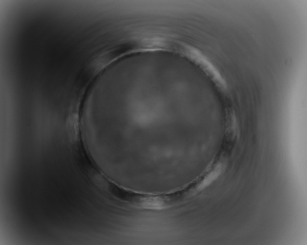 X0000087561457200705181116