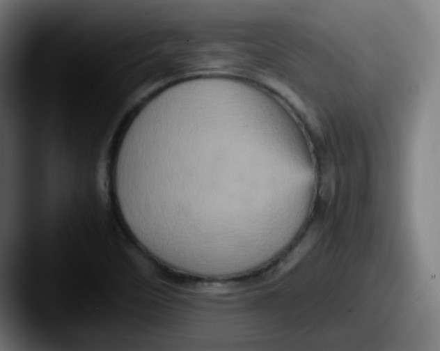 X0000087561458200705181116
