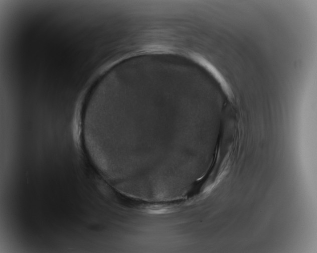 X0000087561461200705181116