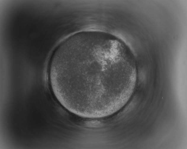X0000087561462200705181116