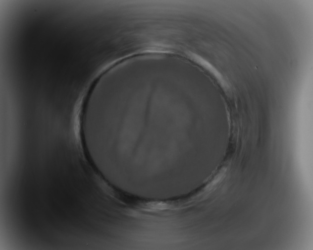 X0000087561463200705181116