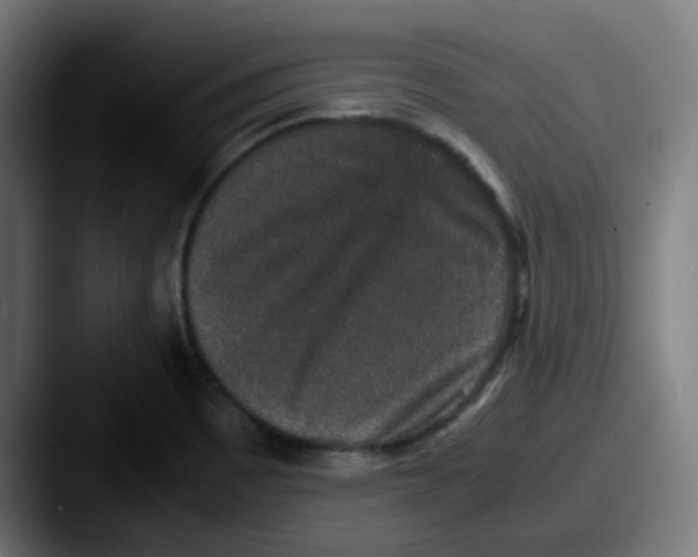 X0000087561465200705181116