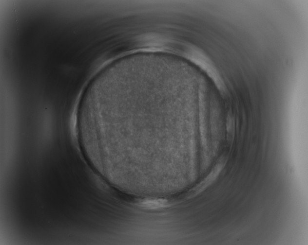 X0000087561466200705181116