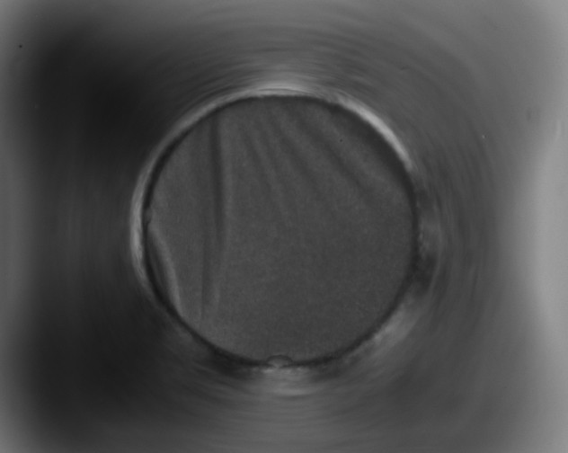 X0000087561469200705181116
