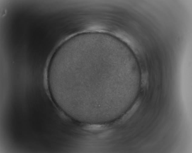 X0000087561470200705181116