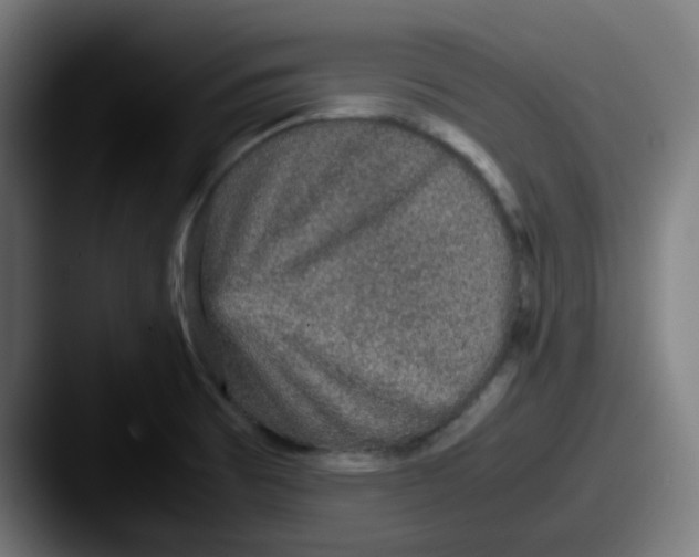 X0000087561473200705181115