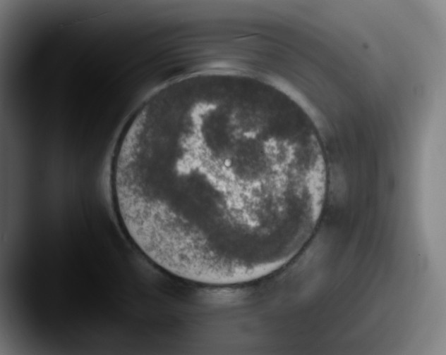 X0000087561474200705181115