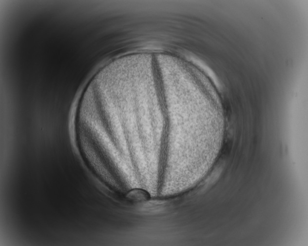 X0000087561475200705181115