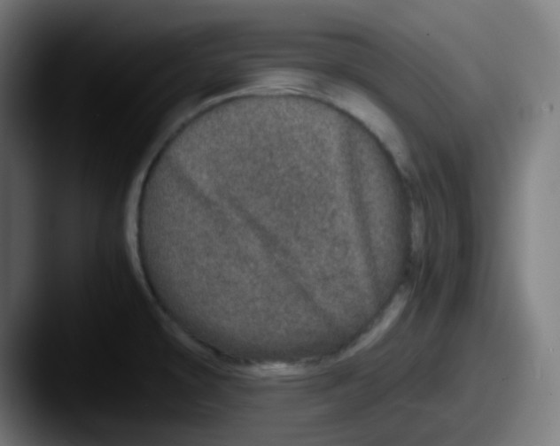 X0000087561478200705181115