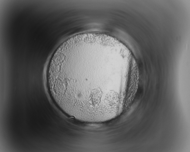 X0000087561483200705181115