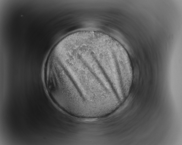 X0000087561484200705181115