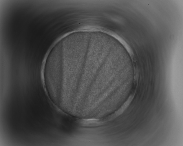 X0000087561486200705181115
