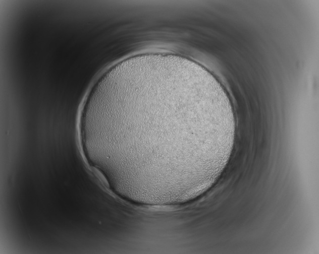 X0000087561488200705181115