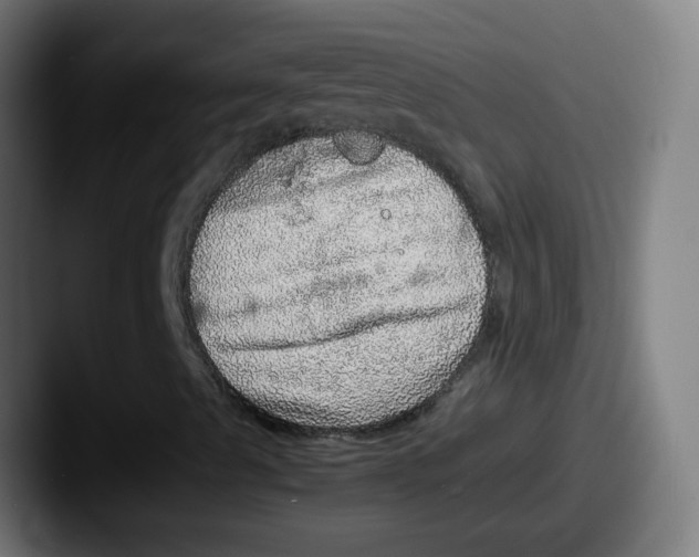 X0000087561489200705181115