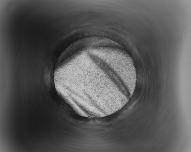 X0000087561490200705181115