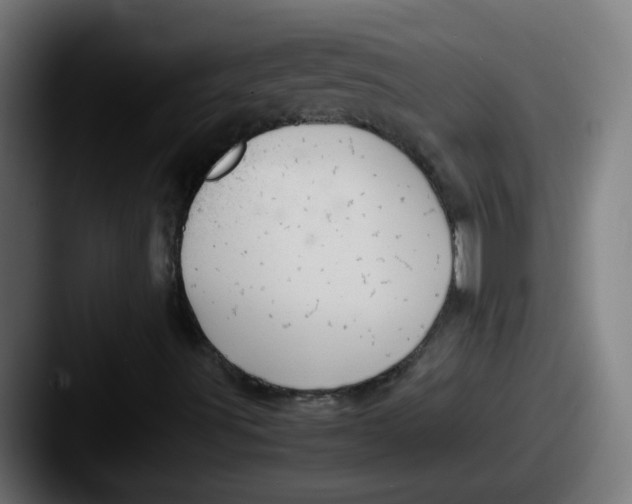 X0000087561491200705181115