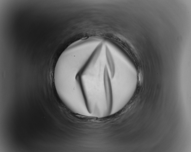 X0000087561492200705181115