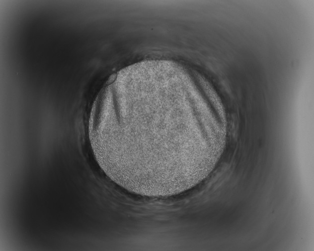 X0000087561493200705181115