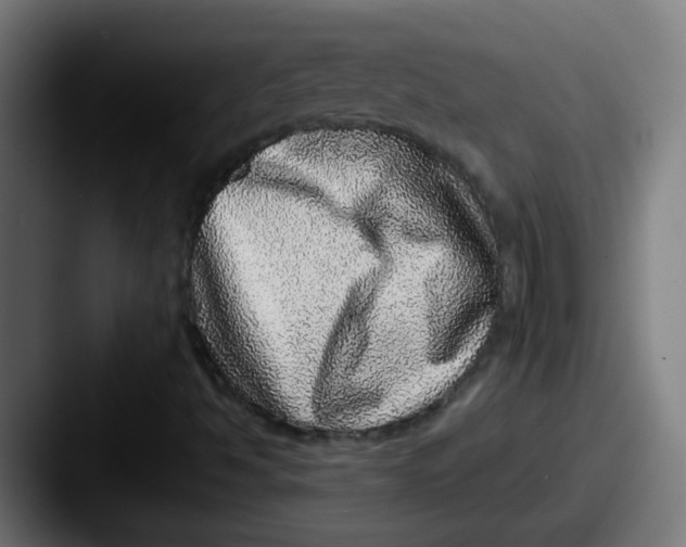 X0000087561494200705181115