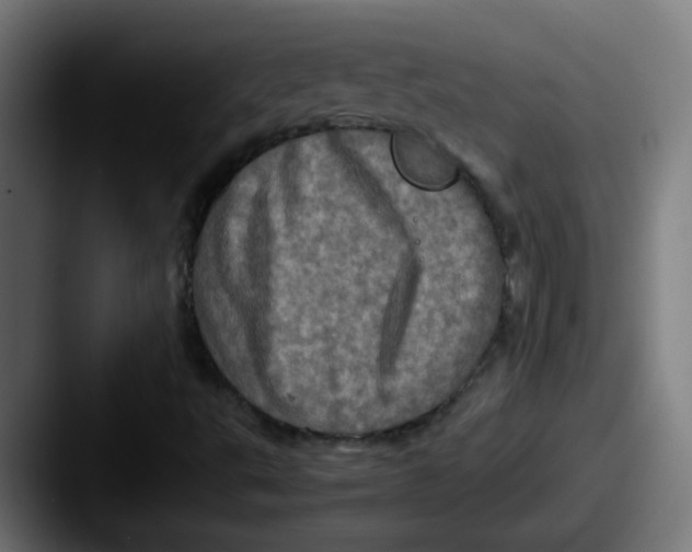X0000087561495200705181115