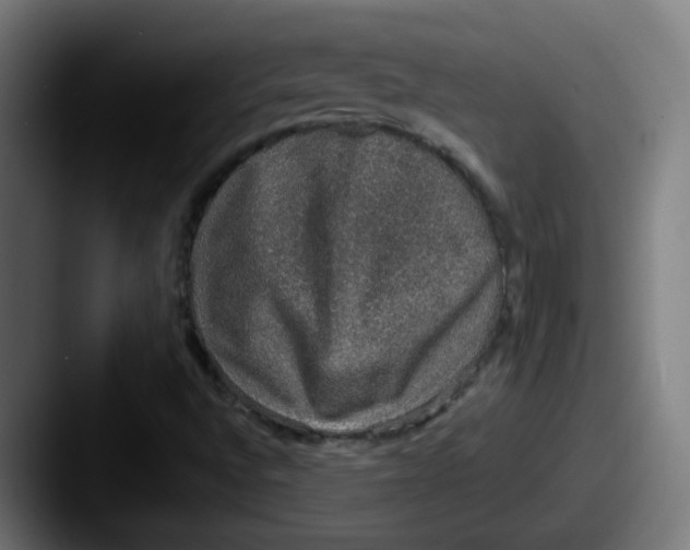 X0000087561496200705181115