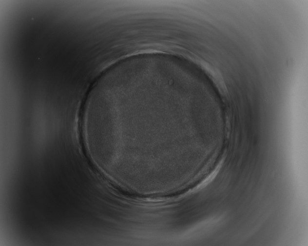 X0000087561497200705181115