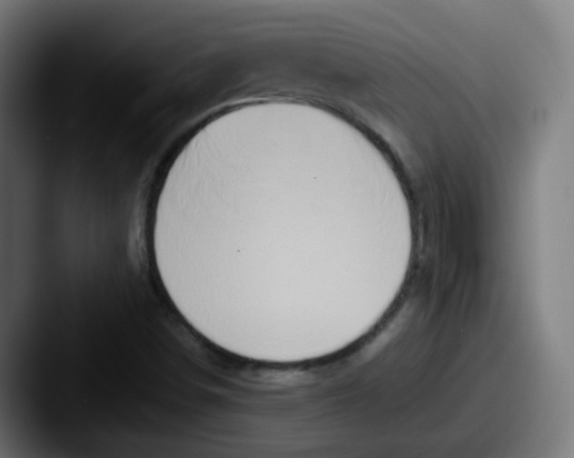X0000087561498200705181115