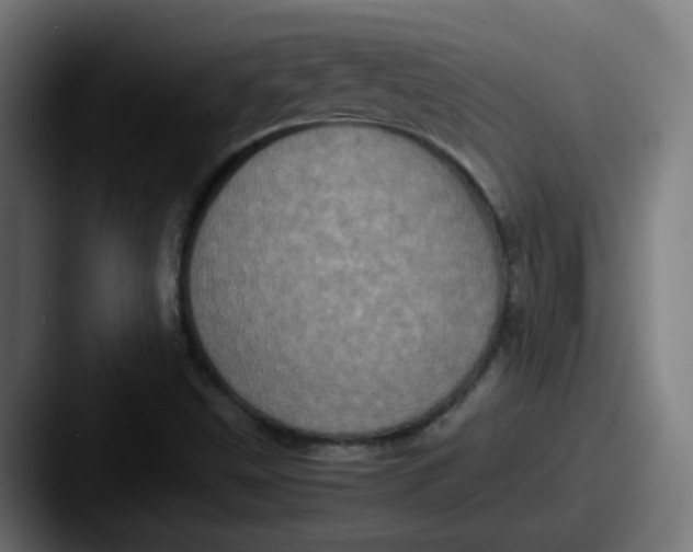 X0000087561499200705181115