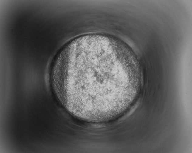 X0000087561501200705181115