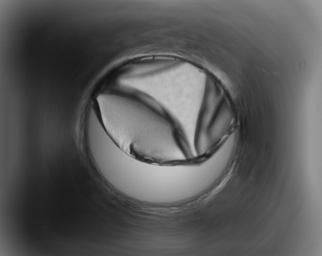 X0000087561502200705181115