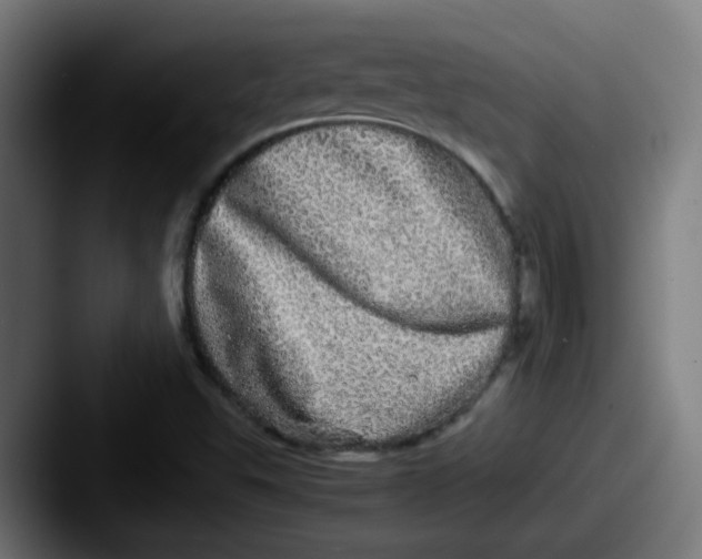 X0000087561503200705181115