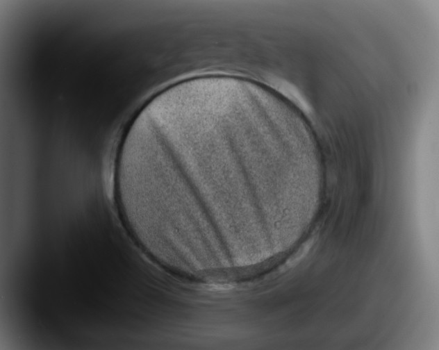 X0000087561504200705181115