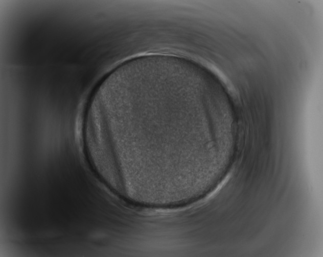 X0000087561506200705181115
