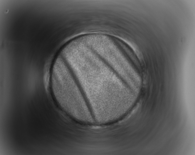 X0000087561507200705181115