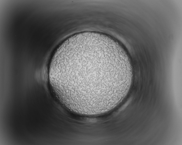 X0000087561509200705181115