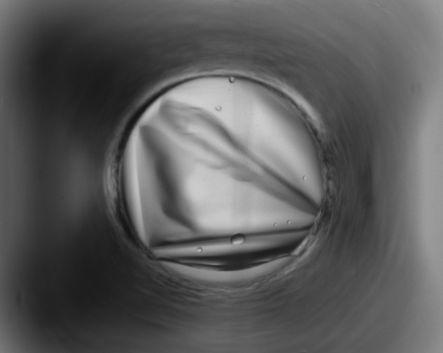 X0000087561510200705181115