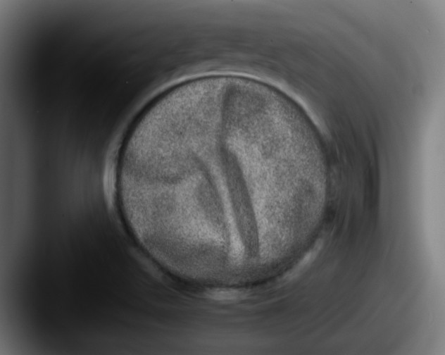 X0000087561511200705181115