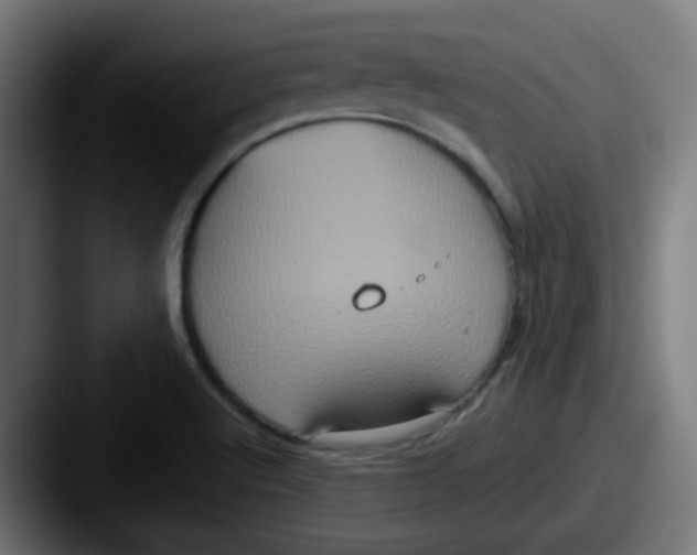 X0000087561512200705181115