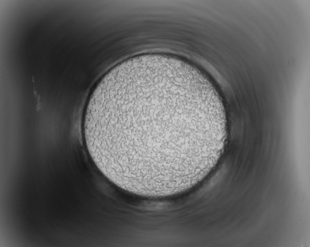 X0000087561513200705181115