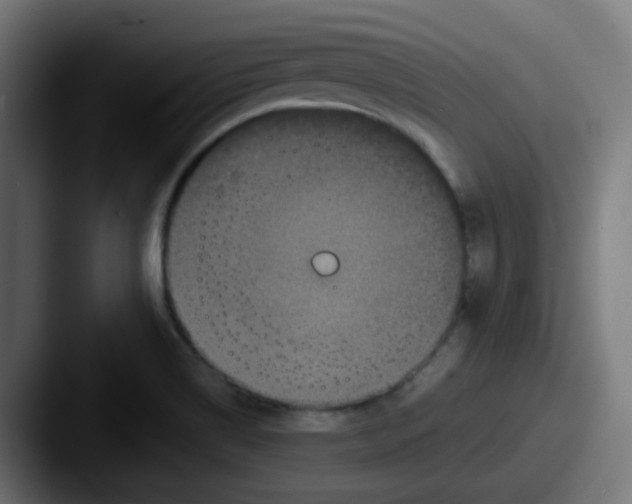 X0000087561514200705181115
