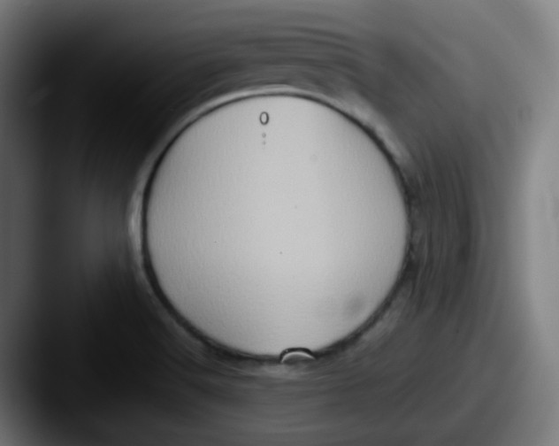 X0000087561516200705181115